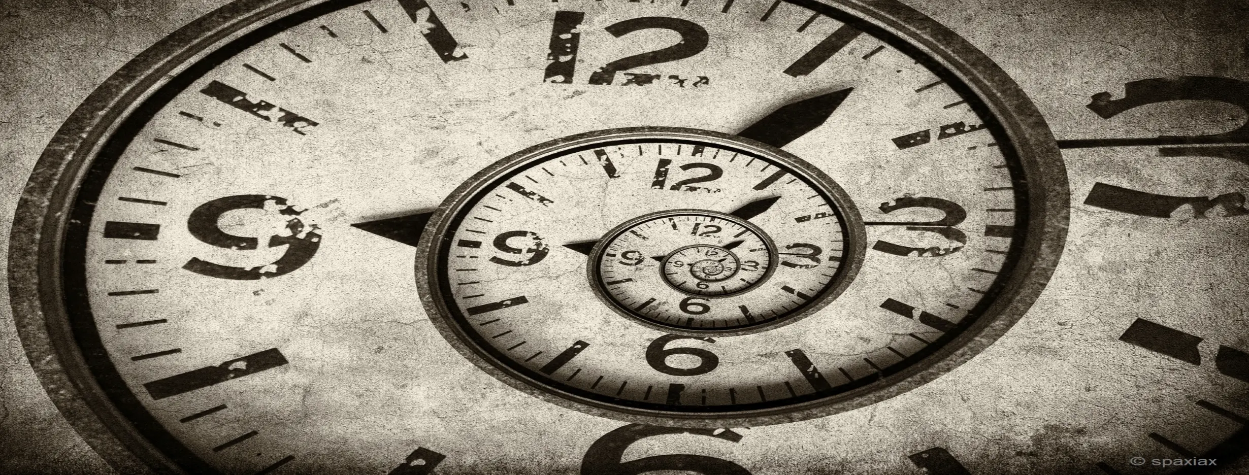 Image for Timeless Elegance
